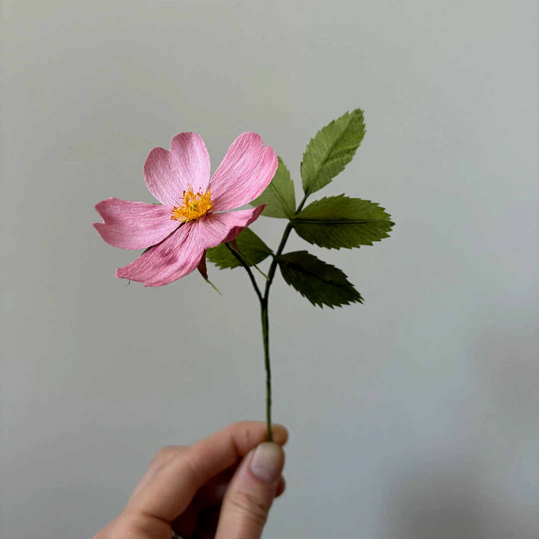 Ensemble DIY de fleurs en papier à assembler 'Rose sauvage'