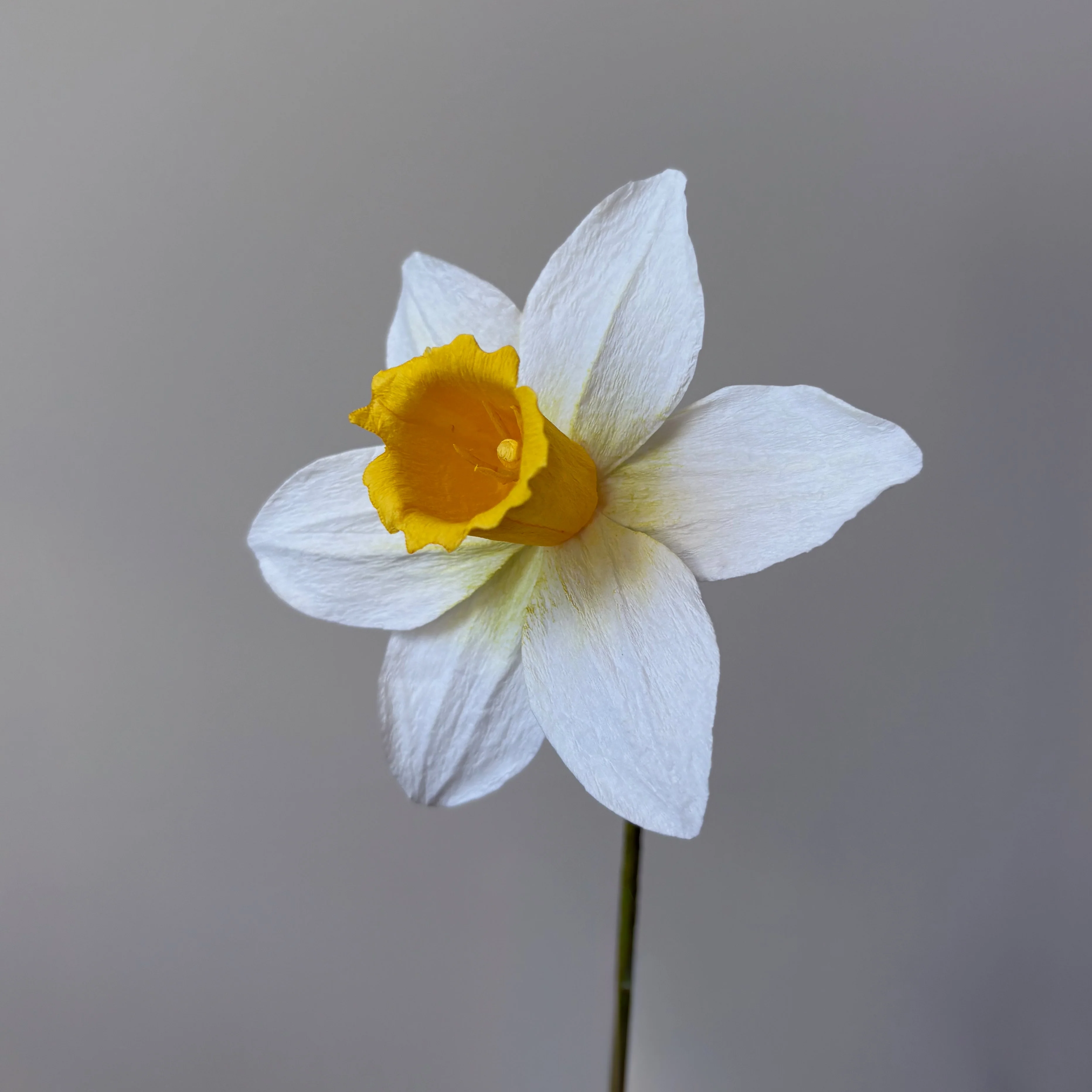 Fleur de papier Jonquille [modèles variés]
